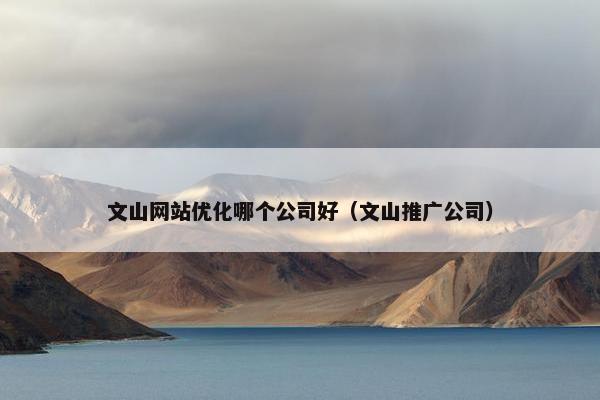 文山网站优化哪个公司好（文山推广公司）