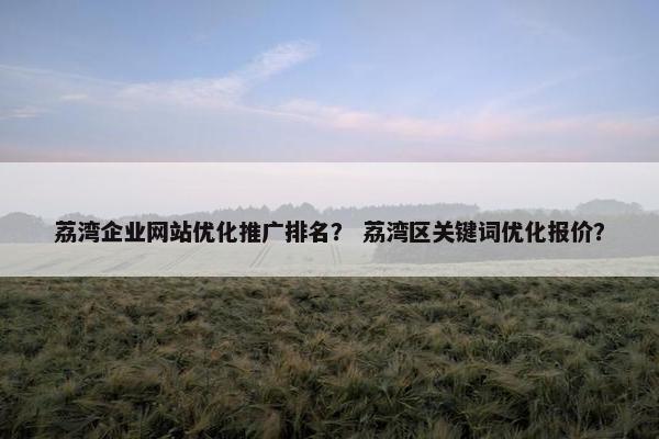 荔湾企业网站优化推广排名？ 荔湾区关键词优化报价？