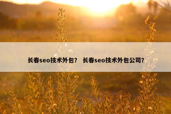 长春seo技术外包？ 长春seo技术外包公司？