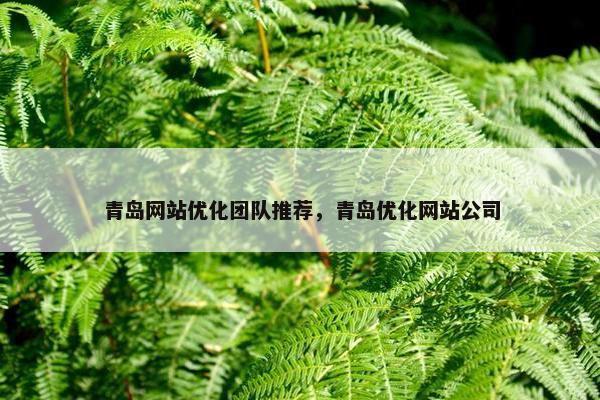 青岛网站优化团队推荐，青岛优化网站公司