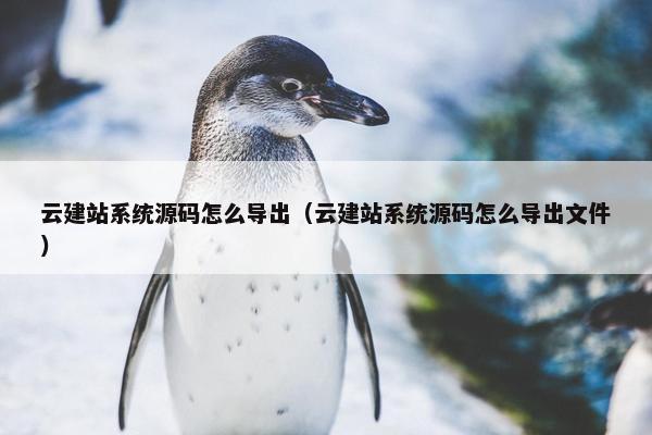 云建站系统源码怎么导出（云建站系统源码怎么导出文件）