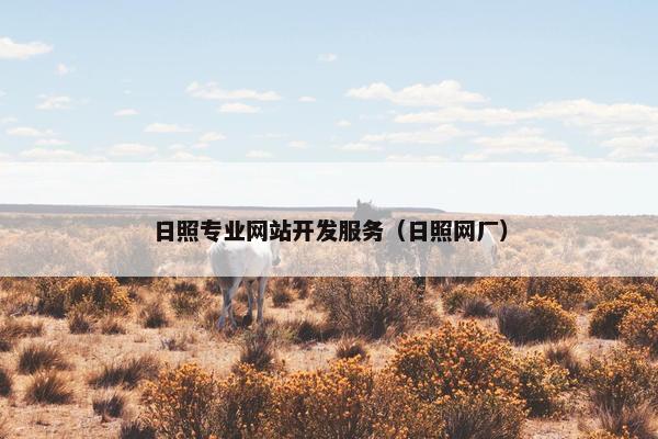 日照专业网站开发服务（日照网厂）