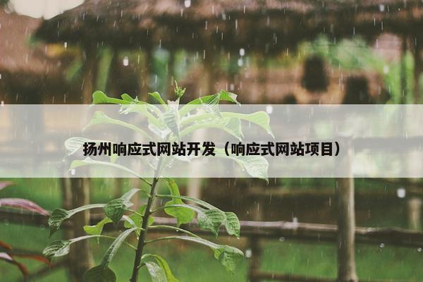 扬州响应式网站开发（响应式网站项目）