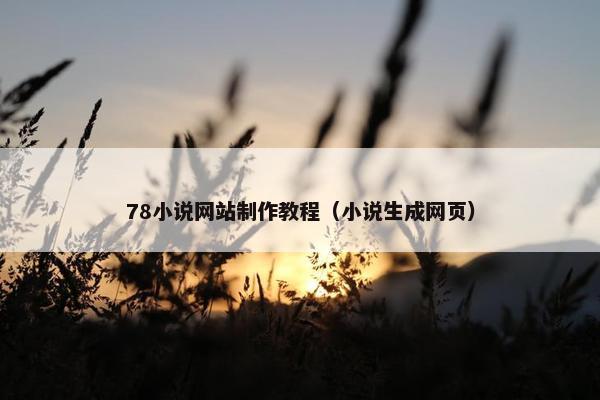 78小说网站制作教程（小说生成网页）