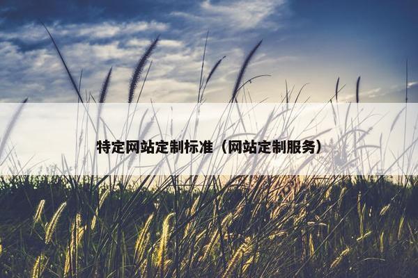 特定网站定制标准（网站定制服务）