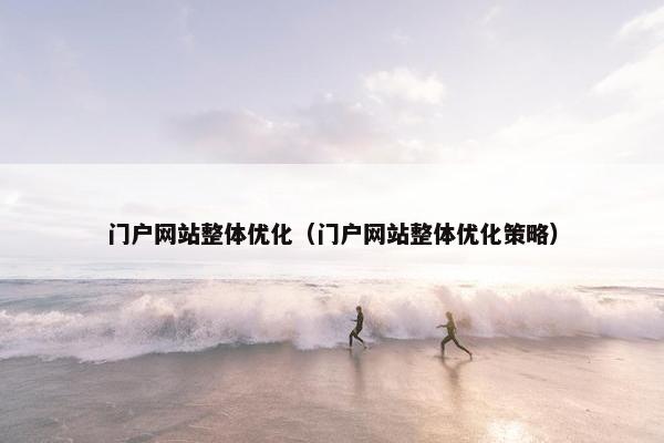 门户网站整体优化（门户网站整体优化策略）