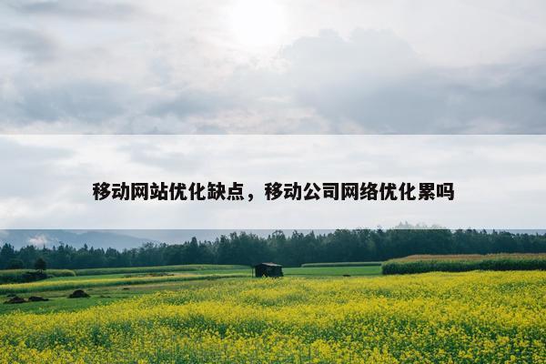 移动网站优化缺点，移动公司网络优化累吗