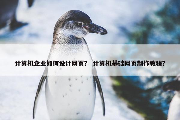 计算机企业如何设计网页？ 计算机基础网页制作教程？