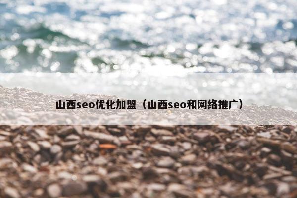 山西seo优化加盟（山西seo和网络推广）