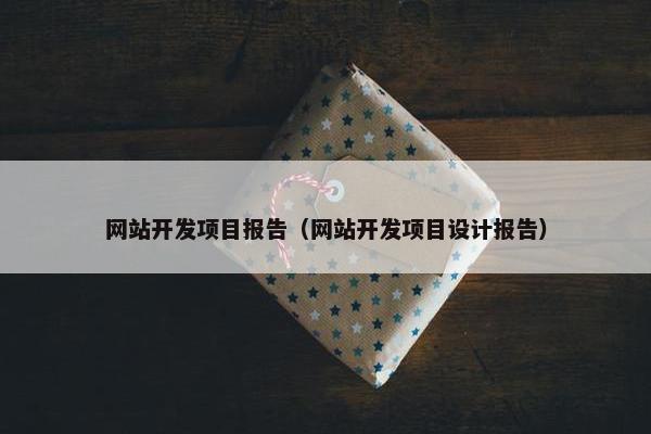 网站开发项目报告（网站开发项目设计报告）