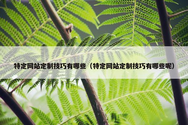 特定网站定制技巧有哪些（特定网站定制技巧有哪些呢）