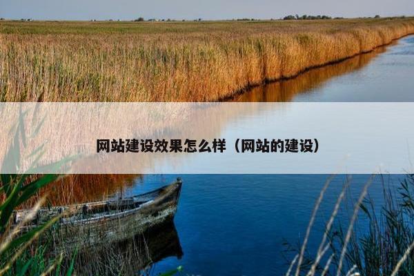 网站建设效果怎么样（网站的建设）