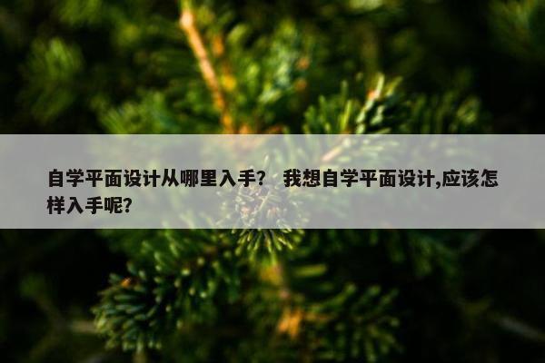 自学平面设计从哪里入手？ 我想自学平面设计,应该怎样入手呢？