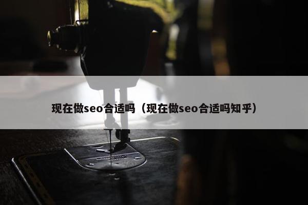 现在做seo合适吗（现在做seo合适吗知乎）
