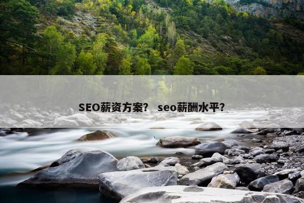 SEO薪资方案？ seo薪酬水平？