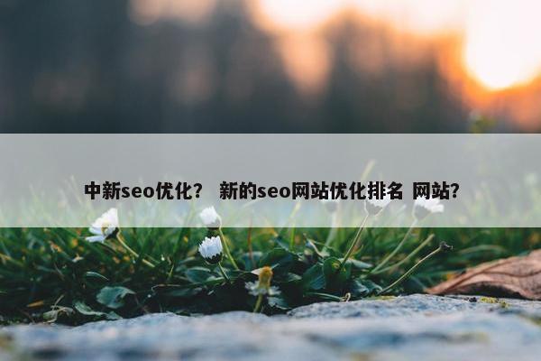 中新seo优化？ 新的seo网站优化排名 网站？