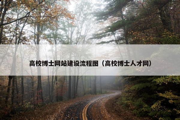 高校博士网站建设流程图（高校博士人才网）