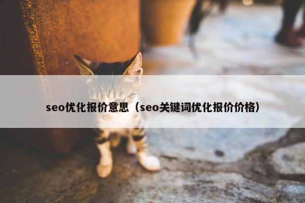 seo优化报价意思（seo关键词优化报价价格）