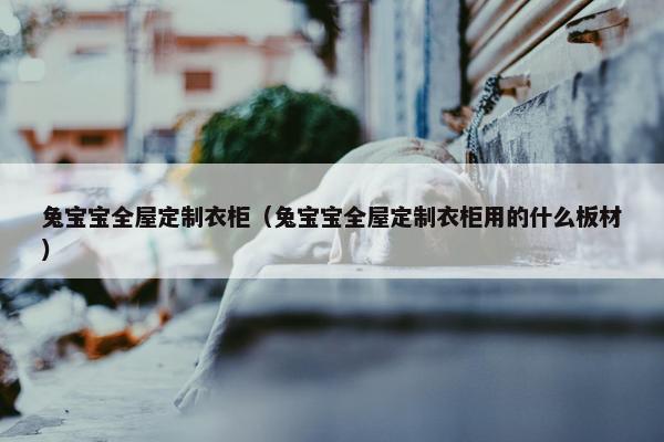 兔宝宝全屋定制衣柜（兔宝宝全屋定制衣柜用的什么板材）