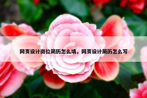 网页设计岗位简历怎么填，网页设计简历怎么写