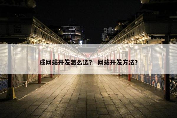 成网站开发怎么选？ 网站开发方法？