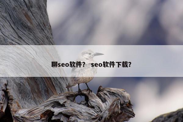 聊seo软件？ seo软件下载？