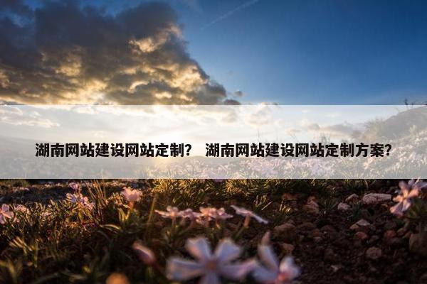 湖南网站建设网站定制？ 湖南网站建设网站定制方案？