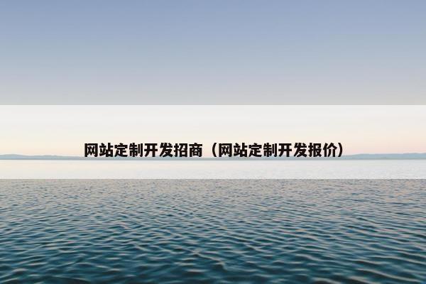 网站定制开发招商（网站定制开发报价）