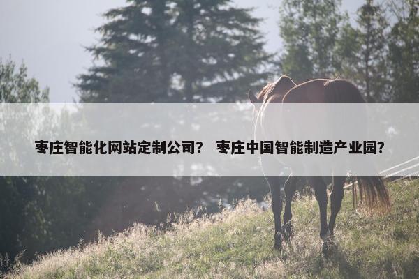 枣庄智能化网站定制公司？ 枣庄中国智能制造产业园？