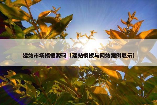 建站市场模板源码（建站模板与网站案例展示）