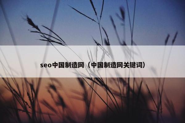 seo中国制造网（中国制造网关键词）