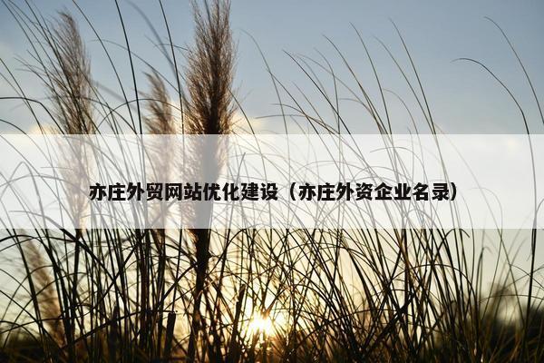亦庄外贸网站优化建设（亦庄外资企业名录）
