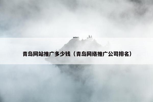 青岛网站推广多少钱（青岛网络推广公司排名）
