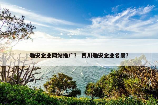 雅安企业网站推广？ 四川雅安企业名录？