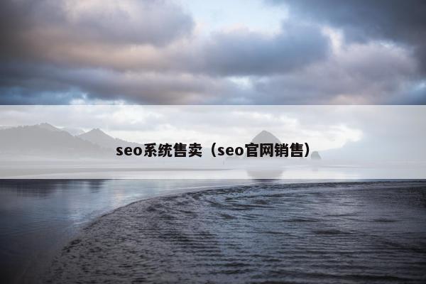 seo系统售卖（seo官网销售）
