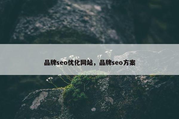 品牌seo优化网站，品牌seo方案