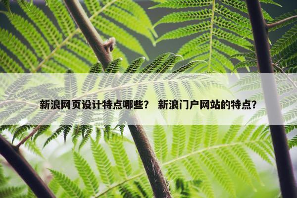 新浪网页设计特点哪些？ 新浪门户网站的特点？
