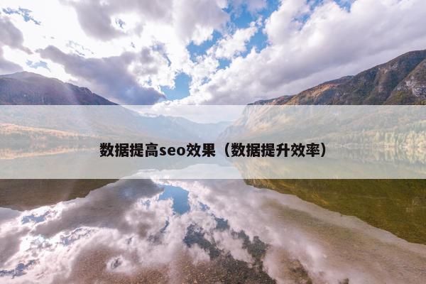 数据提高seo效果（数据提升效率）