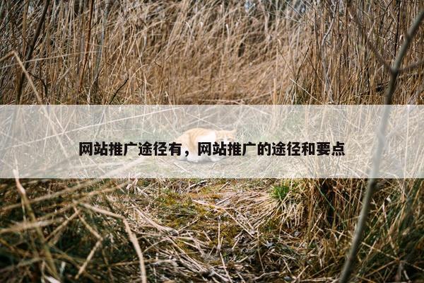网站推广途径有，网站推广的途径和要点