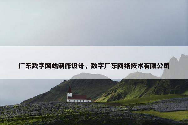 广东数字网站制作设计，数字广东网络技术有限公司