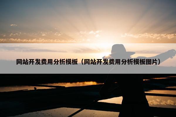 网站开发费用分析模板（网站开发费用分析模板图片）