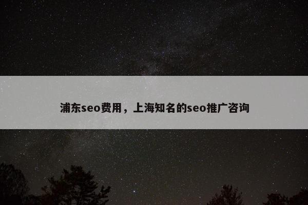 浦东seo费用，上海知名的seo推广咨询