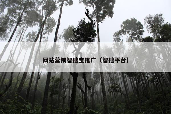 网站营销智搜宝推广（智搜平台）