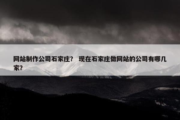 网站制作公司石家庄？ 现在石家庄做网站的公司有哪几家？