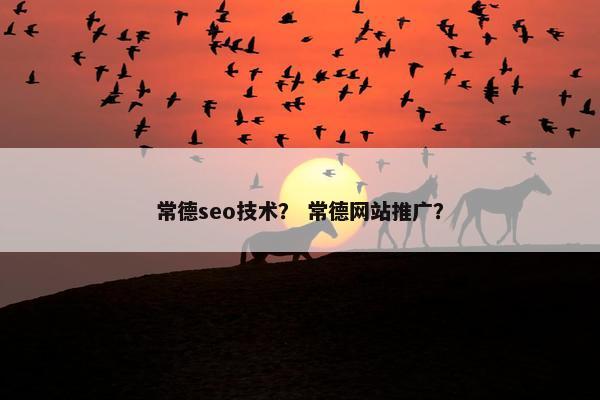 常德seo技术？ 常德网站推广？
