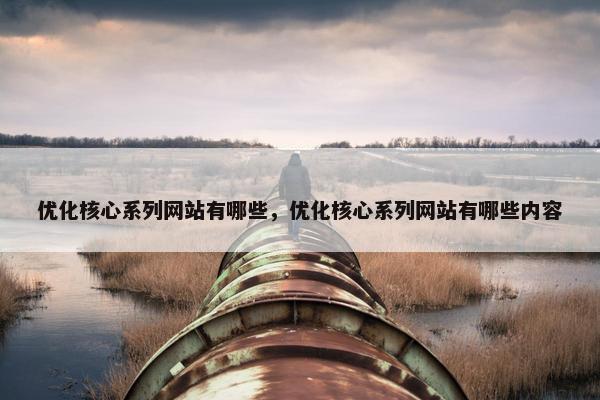 优化核心系列网站有哪些，优化核心系列网站有哪些内容