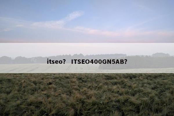 itseo？ ITSEO400GN5AB？