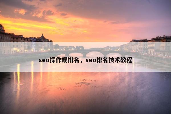 seo操作规排名，seo排名技术教程