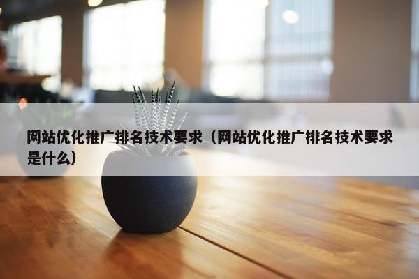 网站优化推广排名技术要求（网站优化推广排名技术要求是什么）