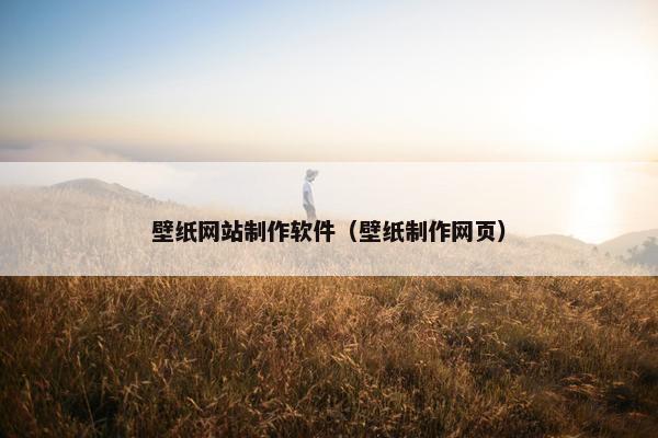 壁纸网站制作软件（壁纸制作网页）